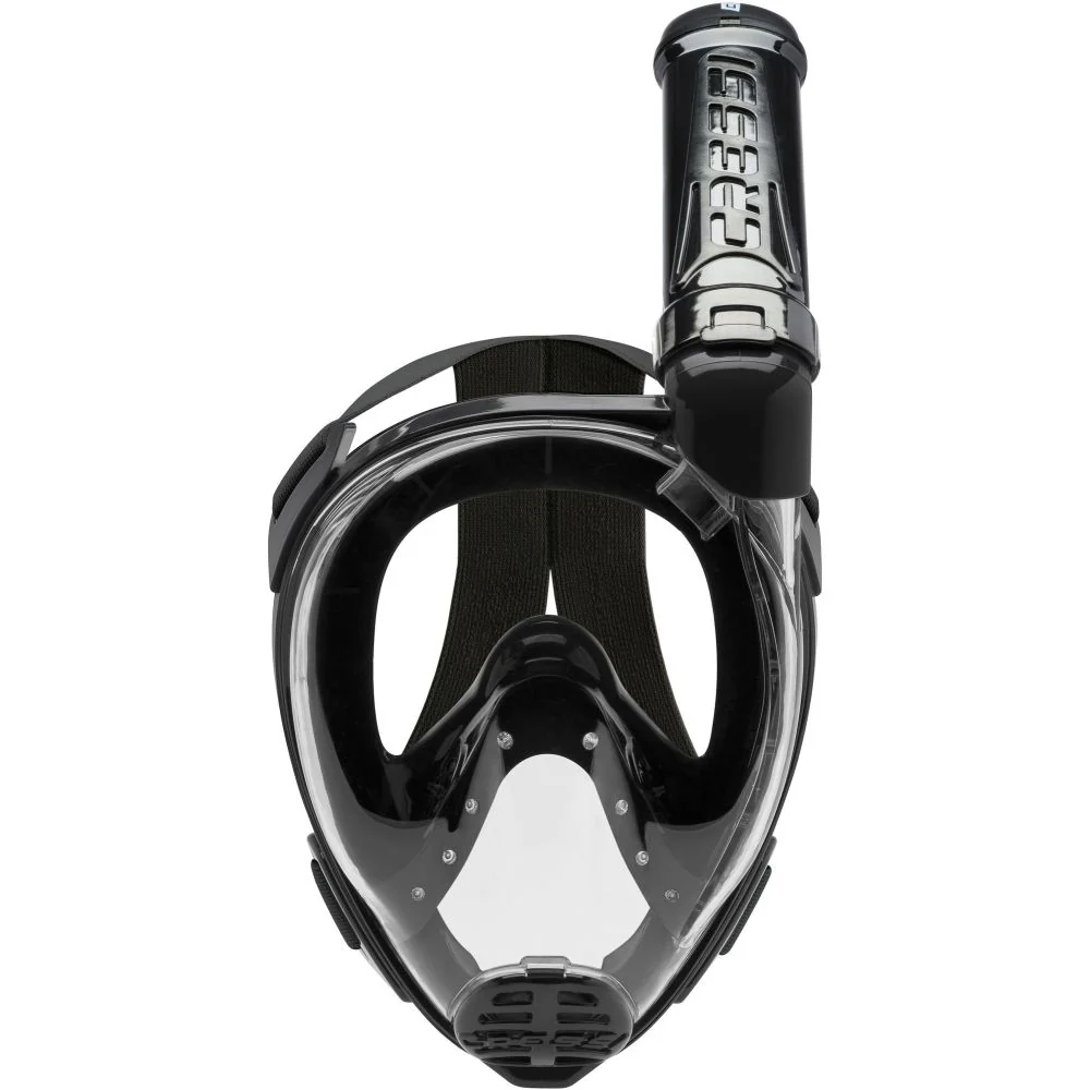 Baron - Image 5