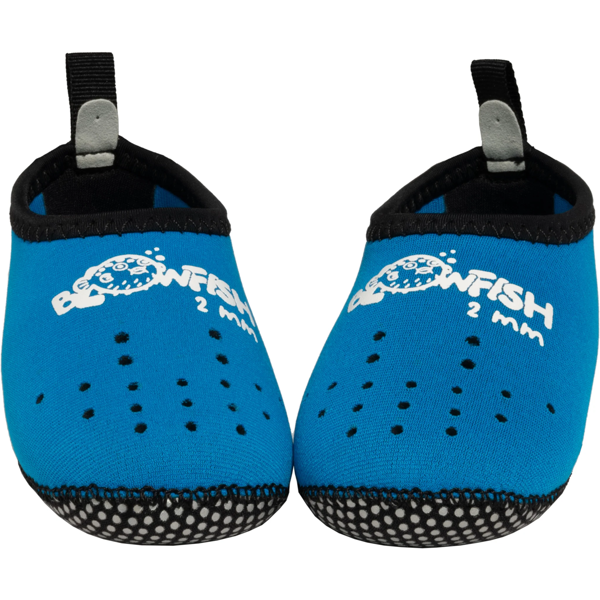 Blowfish - Image 3