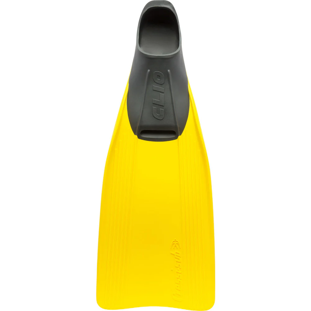 Clio - Image 4