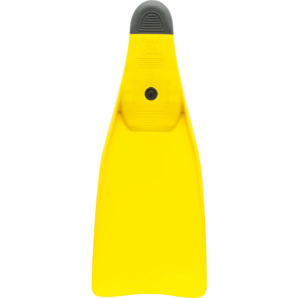 Clio - Image 5