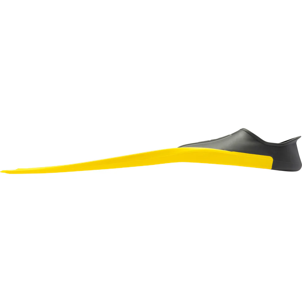 Clio - Image 6