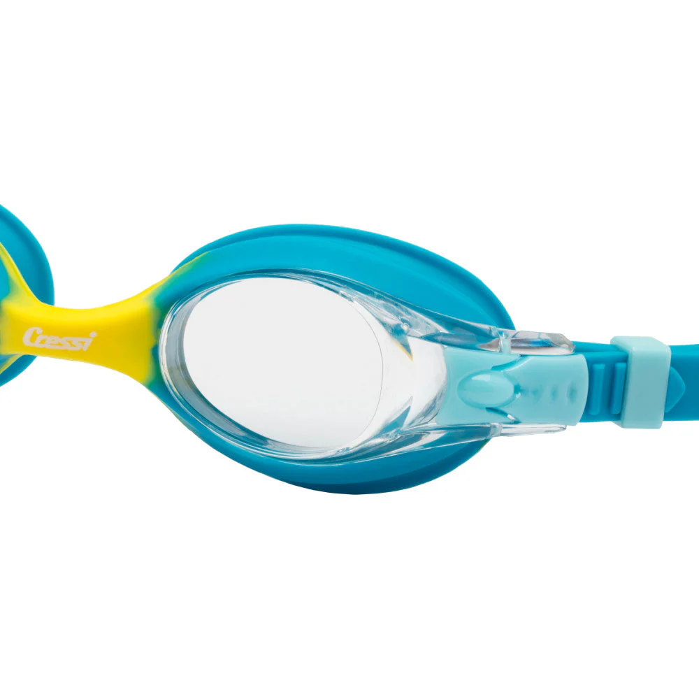 Dolphin 2.0 - Image 5