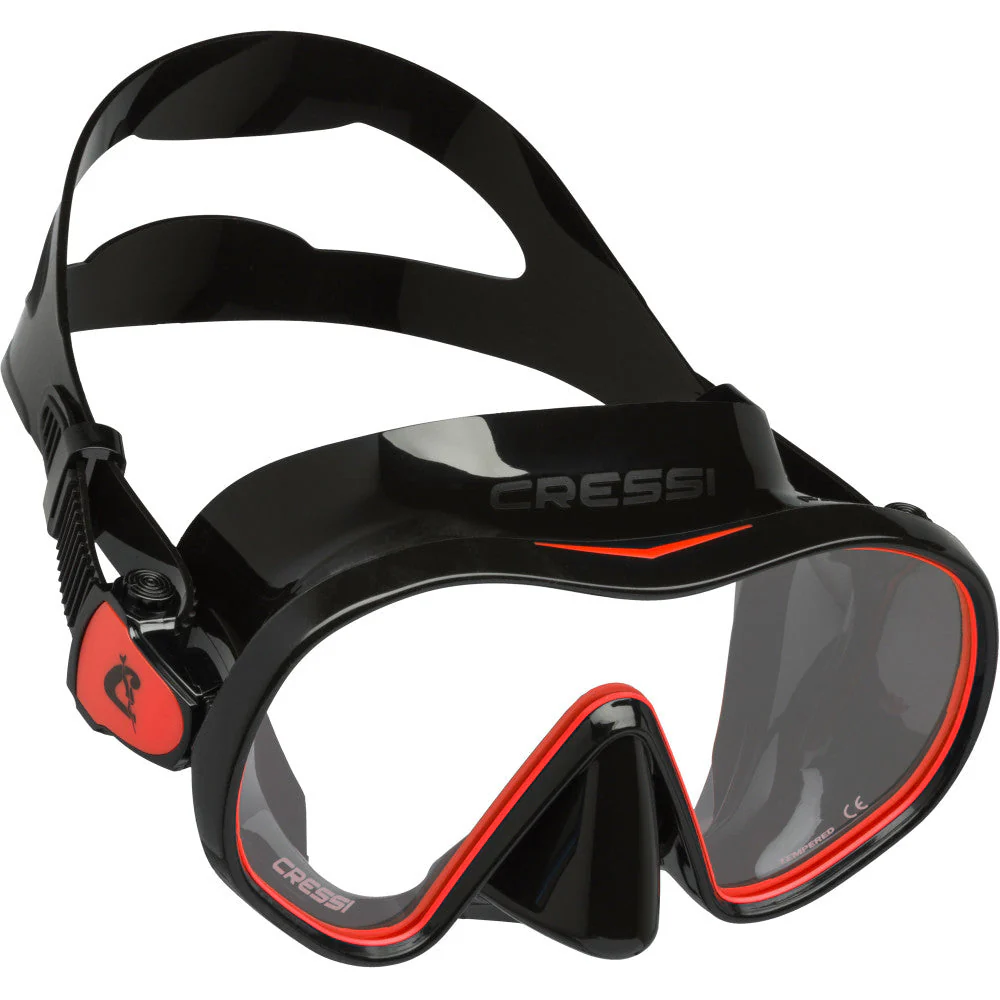 F-Dual - Image 5